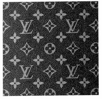 canvas umieszczany na damskich torebkach Louis Vuitton