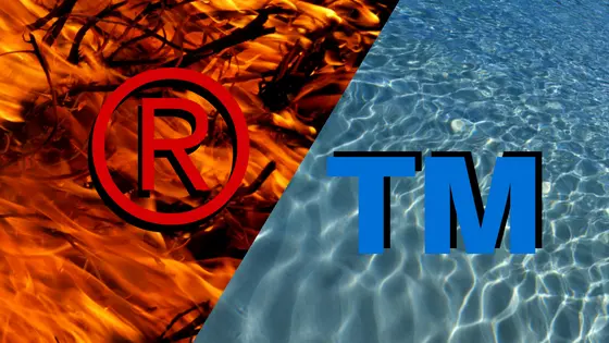 Symbol R w kółku ® a TM – poznaj różnice i zasady