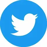 twitter - ptaszek
